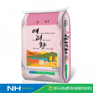 25년 햅쌀 양구 농협 누룽지쌀 여리향 10kg 향미 당일도정